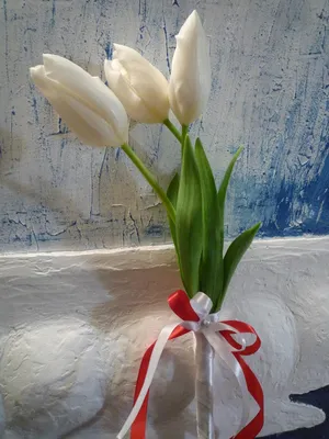 3 тюльпана купить с доставкой по цене 450 ₽ в Нижнем Новгороде | Букеты от  База Цветов 24