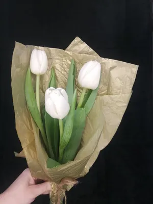 3 тюльпана (нежный микс) в упаковке купить в СПб | Доставка недорого |  Официальный сайт Цветы Опт Розница