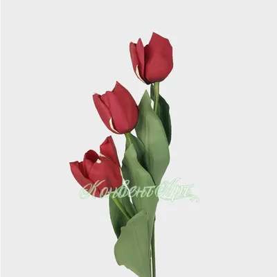 Красные тюльпаны в дизайнерской упаковке с доставкой