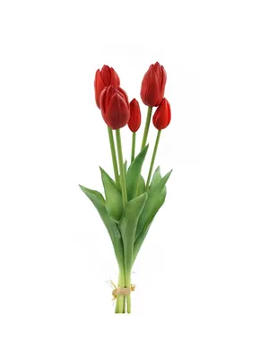 33 тюльпана микс (3 цвета) - купить цветы с доставкой | BUKETLAND