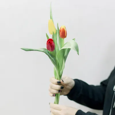 Тюльпан 47 см букет из цветков цвет красный HS 31-3 (9-143 красн) - купить  по оптовым ценам