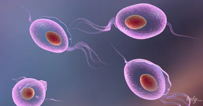 Беременность и трихомониаз: влияние инфекции на маму и новорожденного —  Гинекология — tsn.ua