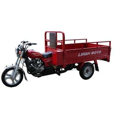 Трицикл (синий) LIFAN LF200ZH-3 - выгодная цена, отзывы, характеристики,  фото - купить в Москве и РФ