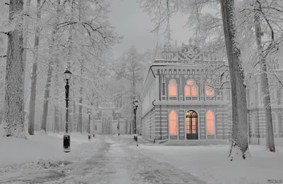 Парк Царицыно зимой (46 фото) - 46 фото