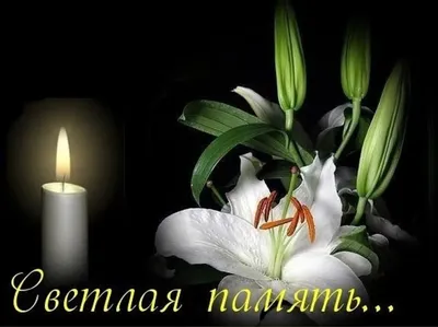 🌡Царство небесное и вечный покой нашим родителям и всем остальным  родственникам, пусть покоятся с миром | ВКонтакте
