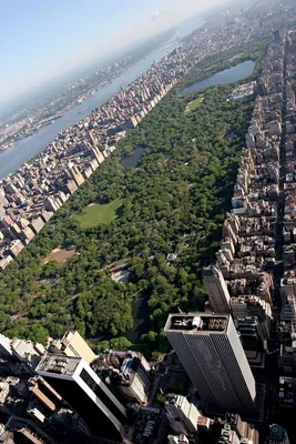 Центральный парк Нью-Йорка: интересные факты, которых вы могли не знать