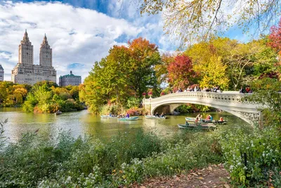 Сколько тратит и как зарабатывает Центральный парк в Нью-Йорке
