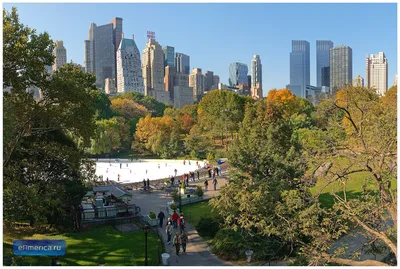 Центральный парк Нью-Йорка - Central Park New York - YouTube