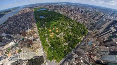 Центральный парк: Нью-Йорк, запечатленный в сериалах - Travellizy