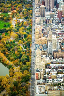 Нью-Йорк, централ парк, солнечная …» — создано в Шедевруме