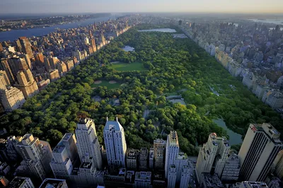 Центральный парк Нью-Йорка — Достопримечательности и парки