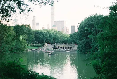 Центральный парк Нью-Йорка: интересные факты, которых вы могли не знать |  Путешествия, туризм, наука | Дзен