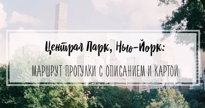 Что не так с Университетом Зеленского и почему ВДНХ в Киеве – не Централ  парк в Нью-Йорке