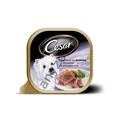 Cesar Natural Goodness влажный корм для собак, с говядиной, паприкой и  шпинатом, в соусе, в паучах - 80 г | Купить в Москве