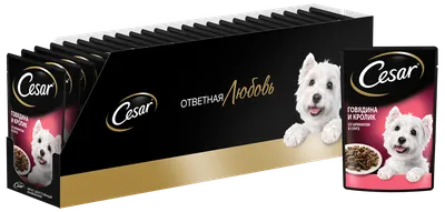 Cesar консервы для собак Фрикассе Ягненок/овощи/розмарин - Зоомагазин Томас  - Интернет-магазин Томас