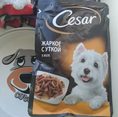 Cesar влажный корм для собак, набор, жаркое с уткой, ягненок с овощами и  говядина с овощами 42*85 гр — купить в интернет-магазине по низкой цене на  Яндекс Маркете
