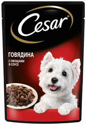 Характеристики модели Влажный корм для взрослых собак Cesar с говядиной и  овощами в соусе — Корма для собак — Яндекс Маркет