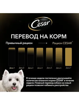Консервированный корм Cesar Natural Goodness пауч для собак (кусочки в  соусе) – Корм для собак