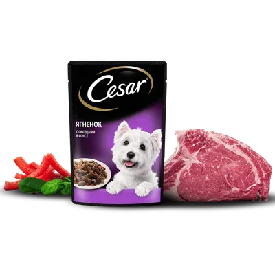 Влажных корм для собак CESAR, два вкуса, желе и ломтики в соусе, (набор 28  шт) пауч в mirkorma.ru