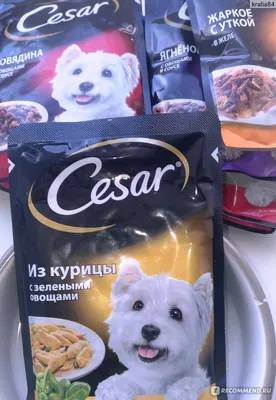 Влажный корм Cesar для собак, курица и овощи в соусе 28х85г Cesar 14358516  купить за 916 ₽ в интернет-магазине Wildberries