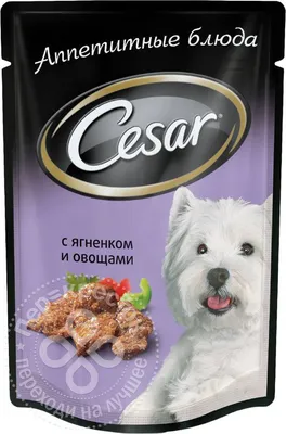 Корм для собак Cesar 100г курица с зелеными овощами для собак купить за 42  руб. с доставкой на дом в интернет-магазине «Palladi» в Южно-Сахалинске