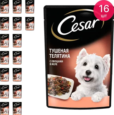 Корм для собак 100г Cesar с ягненком и овощами Марс купить за 24 руб в  Старом Осколе - SKU2701439