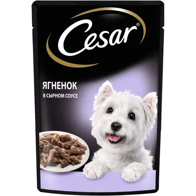 Корм влажный для собак Cesar / Цезарь с тушеной телятиной и овощами в желе,  пауч 85г / зоотовары (комплект из 16 шт) - купить с доставкой по выгодным  ценам в интернет-магазине OZON (1189740351)