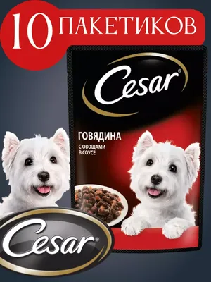 Корм для собак Cesar, 100 г, Бефстроганов/говядина/сыр/укроп - Интернет  зоомагазин MyPet-Online.ru