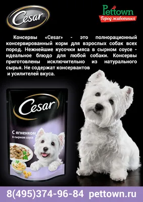 Цезарь влажный корм для собак с говядиной, паприкой и шпинатом в соусе,  80г, CESAR Natural Goodness