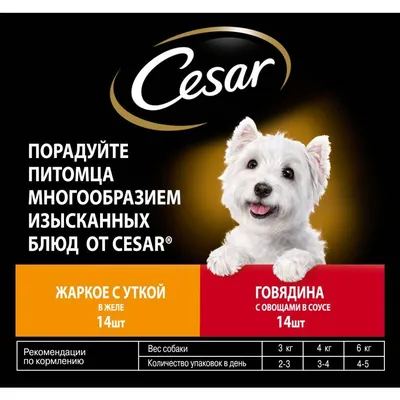 Cesar Корм для собак Говядина с Овощами 85гр.