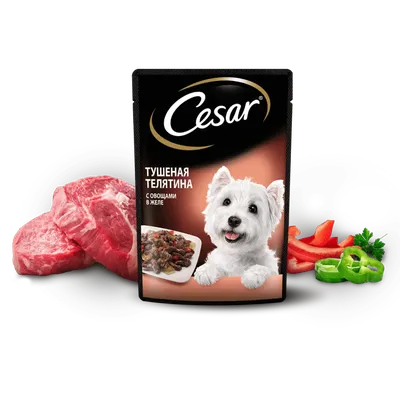 Корм для собак Cesar 100г говядина/кролик в соусе со шпинатом для собак  купить за 41 руб. с доставкой на дом в интернет-магазине «Palladi» в  Южно-Сахалинске