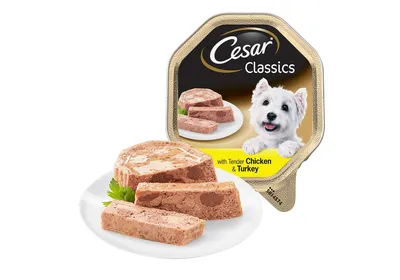 Влажный корм Cesar для собак, с говядиной, кроликом и шпинатом в соусе, 28  штук по 85 г купить по цене 897 ₽ в интернет-магазине KazanExpress