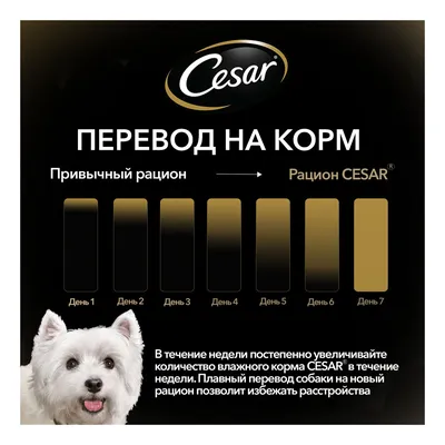 Цезарь (Cesar) ягненок в сырном соусе