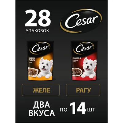 Корм д/взр.собак CESAR всех пород с телятиной и овощами 85г | Доставка  продуктов в Саратове✓Доставка еды в Саратове