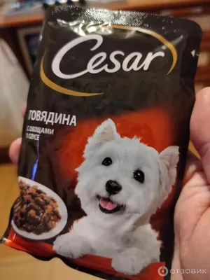 Влажных корм для собак CESAR, два вкуса, желе и ломтики в соусе, (набор  28шт) пауч - интернет-магазин «Pet Team»