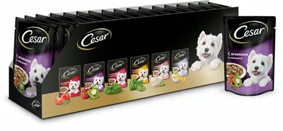 Cesar Natural Goodness влажный корм для собак, с индейкой, горохом и  морковью, в желе, в паучах - 80 г | Купить в Москве