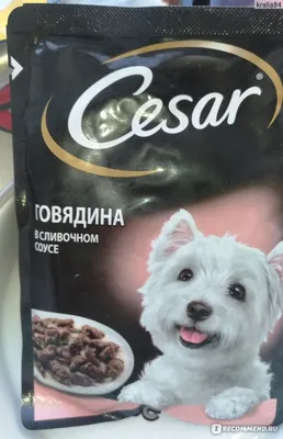 Влажных корм для собак CESAR, два вкуса, желе и ломтики в соусе, (набор 28  шт) пауч в mirkorma.ru