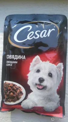 Стоит ли покупать Влажный корм для собак Cesar ягненок, с овощами ? Отзывы  на Яндекс Маркете