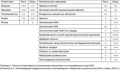 хроническая и острая сердечная недостаточность у собак симптомы и лечение у  ветеринара, препараты