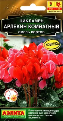 Цикламен персидский Кристиан, смесь 3шт, семена | Купить в интернет  магазине Аэлита