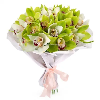 Шикарный букет орхидей цимбидиум с доставкой по Санкт-Петербургу и ЛО  недорого