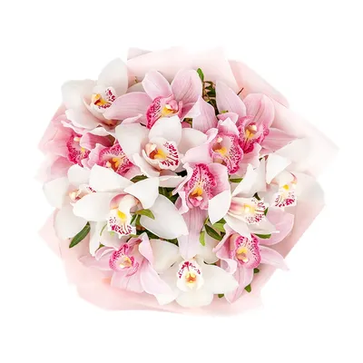 Букет из орхидеи Цимбидиум розовая купить в Азове - Заказать с доставкой  недорого