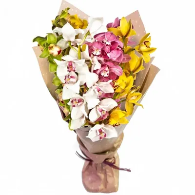 Купить Букет из 3 веток орхидеи Cymbidium в Томске - доставка цветов МАКИ