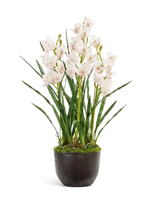 Букет из орхидей Цимбидиум мини - заказать доставку цветов в Москве от Leto  Flowers