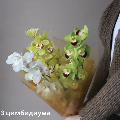 Цветок в срезке «Орхидея Цимбидиум тёмно-розовая» ветка - Каталог -  Butterfly-Flower.ru