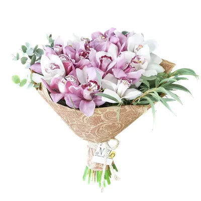Букет из 19 розовых и белых орхидей Цимбидиум (00909) купить с доставкой в  Архангельске