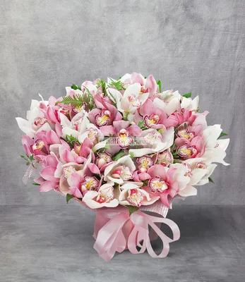 Букет-дуэт Орхидеи Cymbidium (35,51,75,101 или 151), Москва