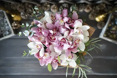Букет из 19 розовых и белых орхидей Цимбидиум (00909) купить с доставкой в  Архангельске