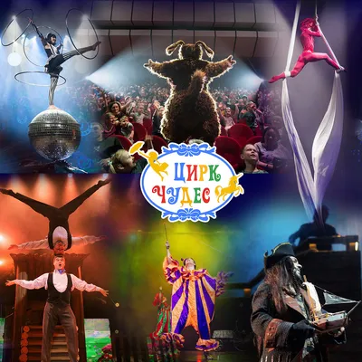 Цирк - искусство величайшей точности | Auditorium Life