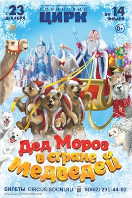 Шоу-программа и аниматоры Цирк на детский праздник в Новосибирске